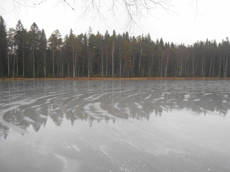 Liesjärvi_2014 251