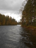 Paistjärvi_2014 153